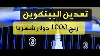 أفضل طريقة للربح من التيلجرام | أفضل بوتات التعدين للبيتكوين | مجربة 100%