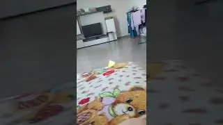 Вот это да