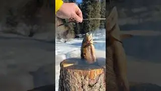winter fishing😍 