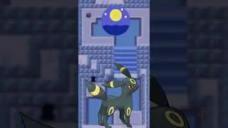 The FUNKIEST Pokemon Roadblocks!!