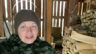 Прошу прощения! Сделала свой выбор! Спасаем старые блины! Открываю сезон, сею перцы! 
