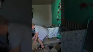 Мучаем шпица или прикалюхи собак