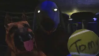 Dein Hund ist verschwunden, etwas Anderes bringt dir den Ball zurück - Canine