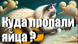 «Куда пропали яйца?» 🐣песня кота Мурзика  