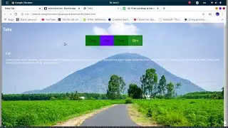 HOW TO MAKE TABS WEBSITE RESPONSIVE || BEGINER || USING HTML5 CSS3 AND JS