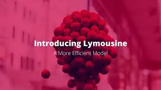 Lymousine Appeal Final