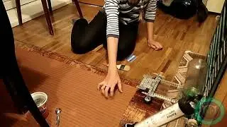 Шиншилла играет или атакует?:)