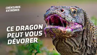 Les lézards les plus mortels au monde