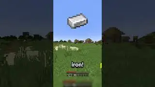 Minecraft, But YOU Control My Game...