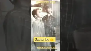 Viral Song