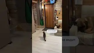 увлеклась 
