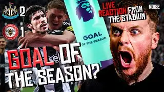 GOAL of the season!?🔥Tonali WONDER GOAL vs Brentford | Newcastle United Matchday Vlog