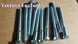 Galvanized Buildings Din571 Hex Head Wood Screw White Zinc Plated