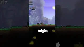 Whats Terraria’s RAREST item? 