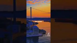 Diğer yarım