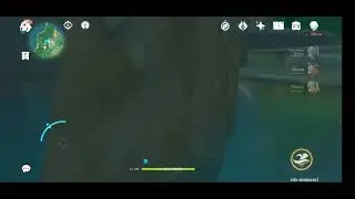 Bug Genshin Impact