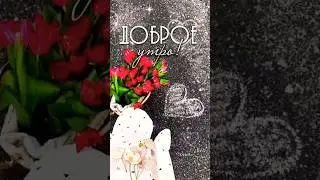 #доброеутро