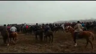 ОШ АЛАМААН УЛАК//2021// БАЙГЕ АФТО УНА ТАЙ ЖАНА БАШКЛАР