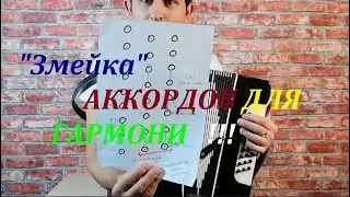 Аккорды для гармони