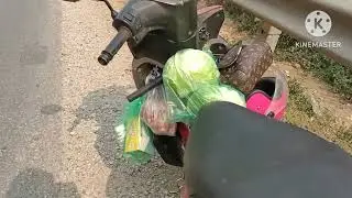 nkauj ntxhee paub zuaj nplab thiab o