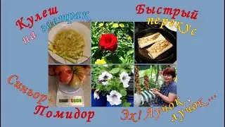 Кулеш на завтрак. Быстрый перекус .Синьор Помидор .Эх !Лучок,лучок...