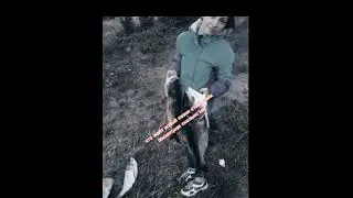 рыбалка новый сезон #рыбалка #рыбак #новыйсезон #рекомендации #хочуврекомендации #хочуврек #тренды