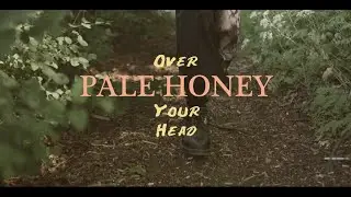 Over Your Head - Pale Honey