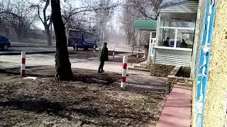 VID 20190306 120358
