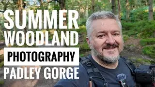 Summer Woodland Photography - Padley Gorge