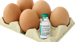 ביצים וסוכרת סוג 2