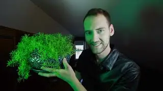 ASMR Leather Plant Whisper