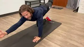Fix Sciatica Pain-Stage 3 Stability Arm Opposite Leg Raises
