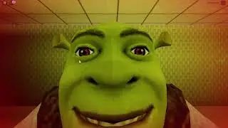 Shrek in the Backrooms