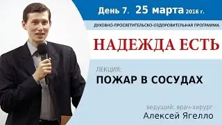 День 7. Лекция 