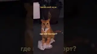 Я сам могу решать все вопросы!