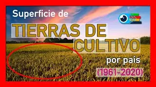 📐 Superficie de TIERRAS 🚜 de CULTIVO por país (1961-2020)