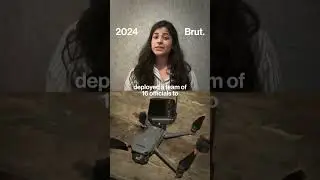 This animal was on a prowl in a UP district…