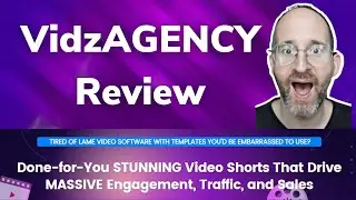 VidzAGENCY Review