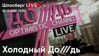 Холодный «Дождь». Судья Путин. Правозащитник Бастрыкин. Словарик Медведева / Шлосберг Live