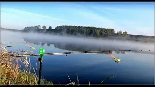 Рыбалка на фидер,рыбалка на Томи ,хороший клёв уклейки и полещика