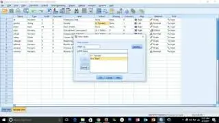 IBM SPSS Basic understanding to create questionners data tutorial Video 2