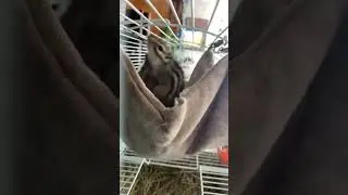В пригородном кафе в краснодарском крае