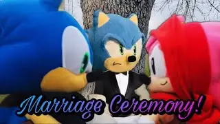 Sonic Plush Whatever: Marriage Ceremony!💍
