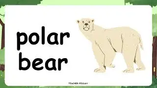 TOP GOAL1 Wildlife  Vocabulary p82