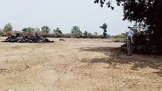 Talcher Hingula gada Maa Hingula Ubhaa 🙏🙏🙏