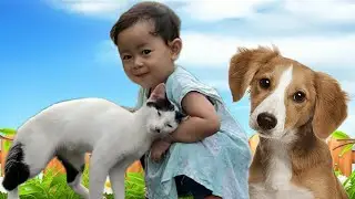 Tebak-tebakan Suara Hewan Kucing dan Anjing Lucu | Learn Animal Sounds Dog and Cat