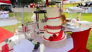 Best wedding reception videos