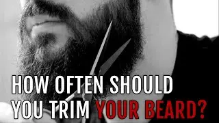 How often should you Trim your Beard?