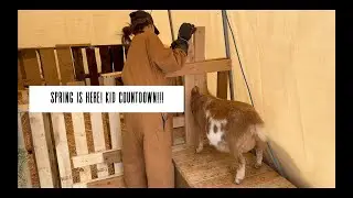 GOAT KIDDING SUITE//HOW TO GROW YOUR OWN MICROGREENS IN 10 DAYS!
