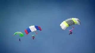 Видеоролик о сбережении лесных ресурсов России MP4